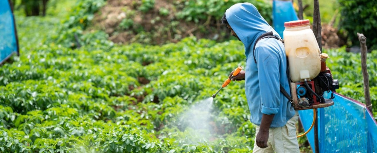 The Role of Industrial Raw Materials in Crop Protection and Pesticide Formulation